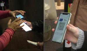 Francia detecta 110.000 pasaportes sanitarios falsos Francia detecta 110.000 pasaportes sanitarios falsos