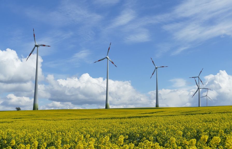 La producción de energía renovable creció un 9% en el mundo en 2021 La producción de energía renovable creció un 9% en el mundo en 2021