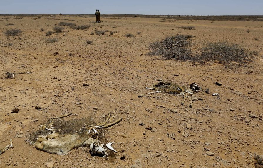 La sequía en Somalia desplaza a 745,000 personas desde el inicio de 2021