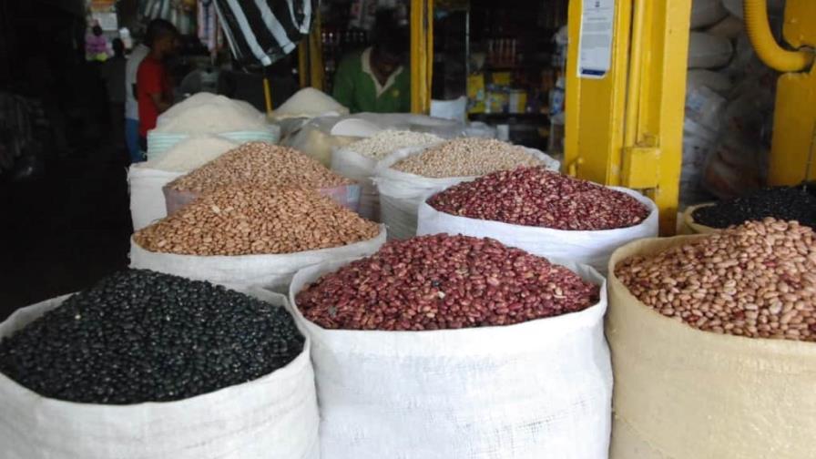 Advierten que sequía prolongada amenaza producción de habichuelas en San Juan