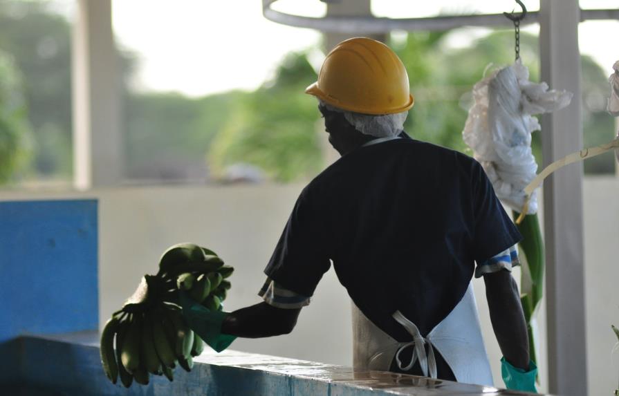 Cinco provincias lideraron en marzo la generación de empleo formal en RD Cinco provincias lideraron en marzo la generación de empleo formal en RD