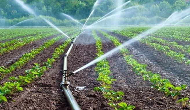 Solo el 10% de los terrenos cultivados en RD cuentan con riego tecnificado Solo el 10% de los terrenos cultivados en RD cuentan con riego tecnificado