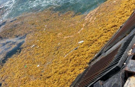 Plantas del parque Itabo son reincorporadas al Sistema Eléctrico Nacional Interconectado Plantas del parque Itabo son reincorporadas al Sistema Eléctrico Nacional Interconectado