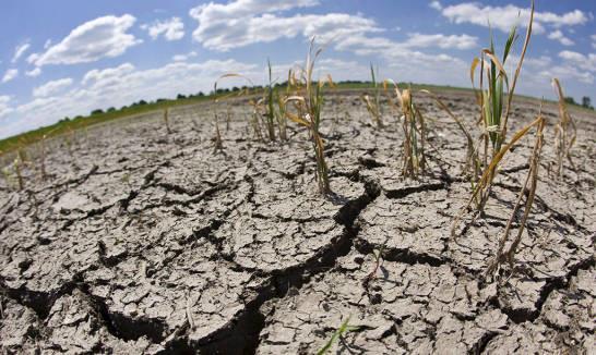 La COP15 se compromete a restaurar mil millones de hectáreas degradadas La COP15 se compromete a restaurar mil millones de hectáreas degradadas