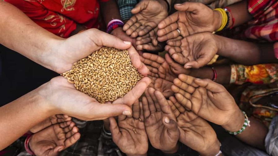Casi 650 millones de personas padecieron hambre en 2025