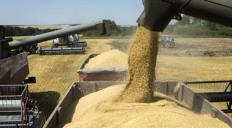 Creciente demanda de proteína animal consolida el uso de la soya en industrias alimenticias