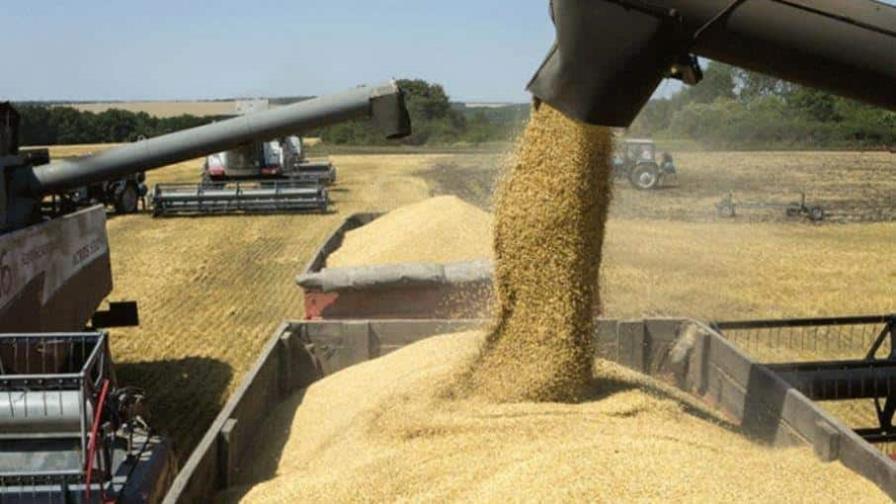 Creciente demanda de proteína animal consolida el uso de la soya en industrias alimenticias
