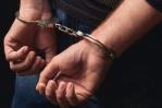 Extraditan a dominico-neerlandés acusado de estrangular a su tía y ocultar el cuerpo en congelador