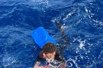 Armada rescata al noveno náufrago de 12 que iban en yola hacia Puerto Rico