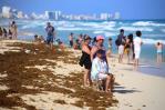 Playas vacías y olor insoportable: México libra dura batalla contra el sargazo Playas vacías y olor insoportable: México libra dura batalla contra el sargazo