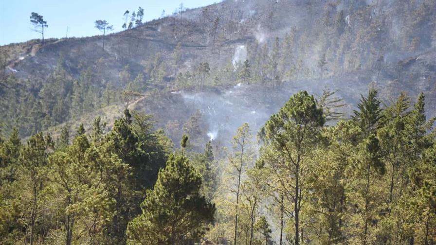 Latinoamérica analiza cómo impulsar la agricultura mientras se frena la deforestación Latinoamérica analiza cómo impulsar la agricultura mientras se frena la deforestación