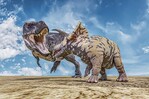 Cuál es el registro de vida más antiguo en la Tierra Cuál es el registro de vida más antiguo en la Tierra
