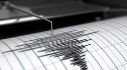 El Sismológico detecta al menos siete sismos tras temblor de magnitud 4.5 sentido en Las Terrenas