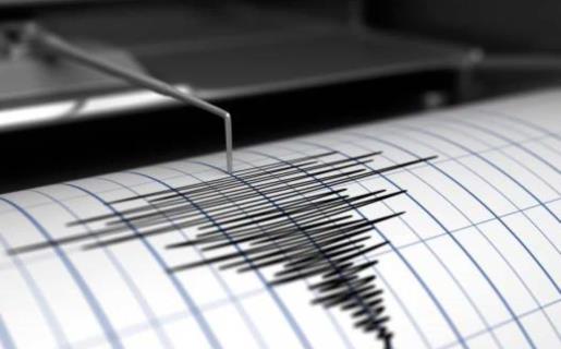 El Sismológico detecta al menos siete sismos tras temblor de magnitud 4.5 sentido en Las Terrenas