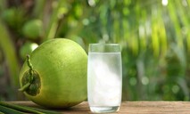 El agua de coco gana espacio entre los consumidores dominicanos