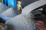 Fenarroz respalda negociaciones con EE. UU. y pide proteger la producción nacional de arroz