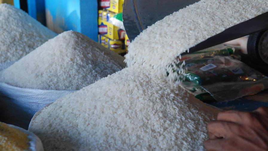 Fenarroz respalda negociaciones con EE. UU. y pide proteger la producción nacional de arroz Fenarroz respalda negociaciones con EE. UU. y pide proteger la producción nacional de arroz