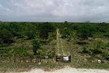 Caso del Aeropuerto de Bávaro se convierte en referencia del derecho aeroportuario