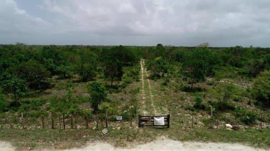 Caso del Aeropuerto de Bávaro se convierte en referencia del derecho aeroportuario