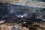 Colombia ha perdido 17,192 hectáreas de vegetación en incendios vinculados a El Niño