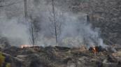 Incendios forestales afectan más de 150 kilómetros cuadrados de áreas protegidas, dice Observatorio