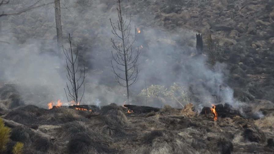 Incendios forestales afectan más de 150 kilómetros cuadrados de áreas protegidas, dice Observatorio