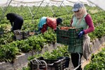 La Unión Europea aprueba una de las reformas migratorias más restrictivas de su historia