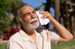¿Cómo mata el calor? Confunde a tu cerebro, apaga los órganos y sobrecarga tu corazón ¿Cómo mata el calor? Confunde a tu cerebro, apaga los órganos y sobrecarga tu corazón