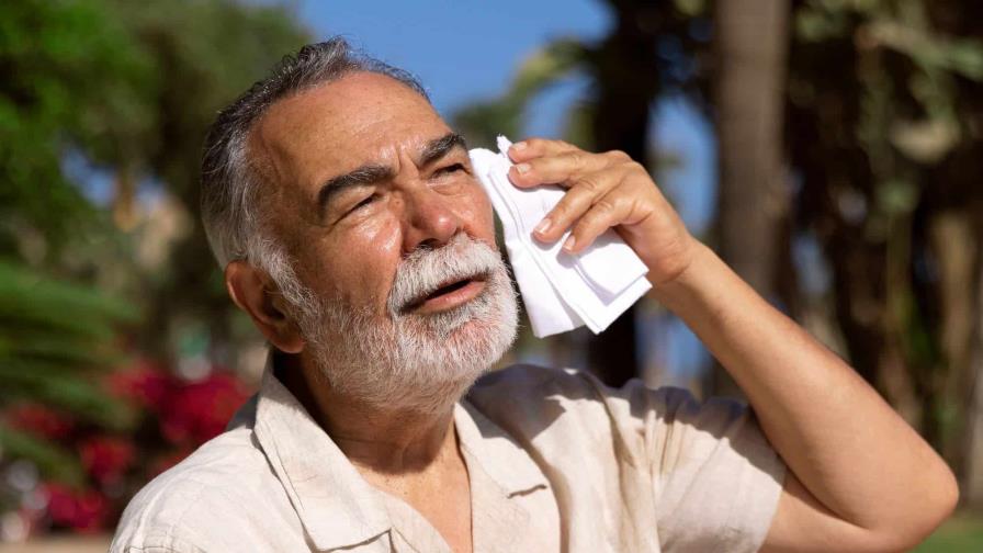 ¿Cómo mata el calor? Confunde a tu cerebro, apaga los órganos y sobrecarga tu corazón ¿Cómo mata el calor? Confunde a tu cerebro, apaga los órganos y sobrecarga tu corazón