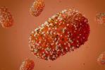 Perú emite una alerta epidemiológica sobre un nuevo linaje de Mpox Perú emite una alerta epidemiológica sobre un nuevo linaje de Mpox