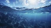 La temperatura de la superficie del mar en julio de 2026 ha sido la más alta para ese mes