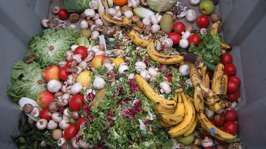 Costa Rica y República Dominicana lideran regulaciones contra el desperdicio de alimentos