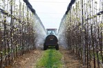 El declive de los insectos a causa de los agroquímicos amenaza la salud del planeta