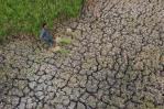 Desertificación y sequía, dos problemas ambientales convertidos en riesgos sistémicos Desertificación y sequía, dos problemas ambientales convertidos en riesgos sistémicos