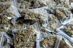 El consumo de marihuana deja de esconderse y aumenta en República Dominicana