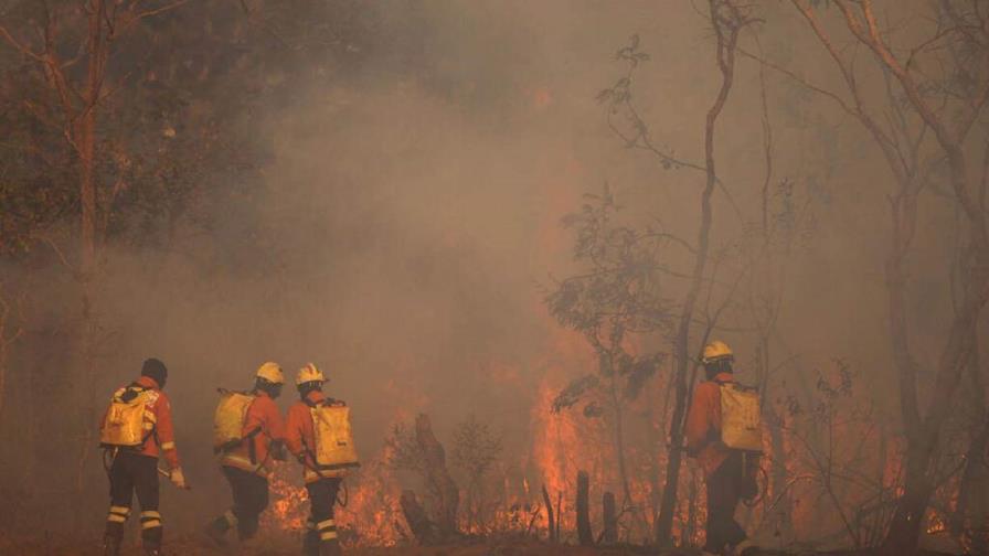 La ONU acuerda negociar un protocolo específico contra los delitos ambientales La ONU acuerda negociar un protocolo específico contra los delitos ambientales