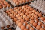 Ante el aumento del precio de los huevos, bodegueros dominicanos en Nueva York los venden al detalle Ante el aumento del precio de los huevos, bodegueros dominicanos en Nueva York los venden al detalle