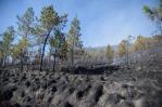 Multas ambientales: estas fueron las más caras entre 2023 y 2024 Multas ambientales: estas fueron las más caras entre 2023 y 2024