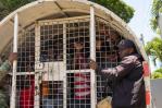 Haitianos intentaron ingresar a RD a través de una alcantarilla que comunica con el río Masacre