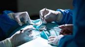 Trasplantan con éxito a un mono tejido pituitario humano cultivado en laboratorio