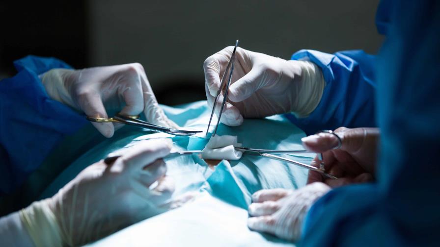Trasplantan con éxito a un mono tejido pituitario humano cultivado en laboratorio