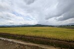 El sector agrícola del Caribe enfrenta retos por falta de financiamiento y escasez de profesionales El sector agrícola del Caribe enfrenta retos por falta de financiamiento y escasez de profesionales