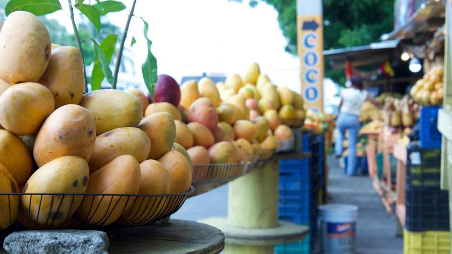 Gobierno anuncia adopción de medidas fitosanitarias para expotar mangos dominicanos Gobierno anuncia adopción de medidas fitosanitarias para expotar mangos dominicanos
