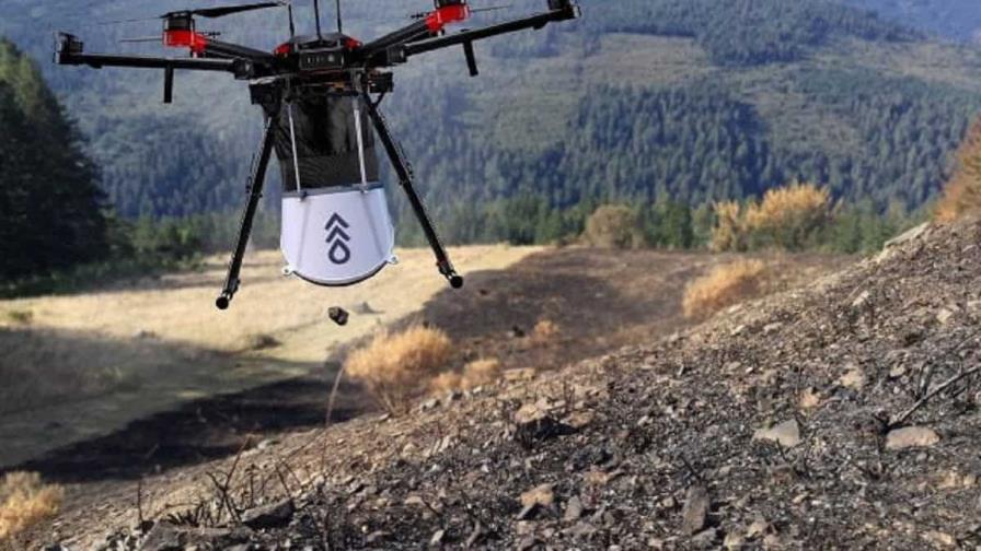 Canadá recurre a los drones para reforestar bosques arrasados por incendios