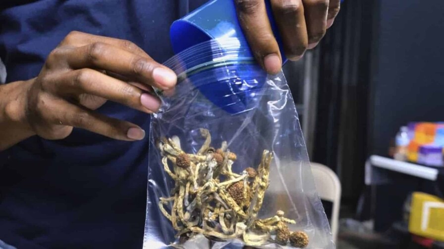 Las redes sociales podrían estar favoreciendo el aumento de consumo de cannabis