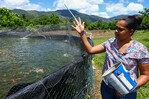 La acuicultura necesita de más recursos y formación para desarrollarse