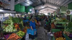 Director de la FAO dice RD es un ejemplo de la lucha contra el hambre