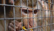 República Dominicana, entre los países en que Interpol incautó más de 1,000 animales traficados