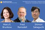 El Nobel de Medicina premia la investigación sobre el control del sistema inmunitario El Nobel de Medicina premia la investigación sobre el control del sistema inmunitario