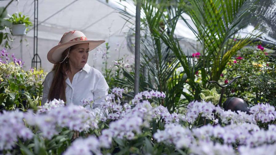 Amantes de las plantas se congregan en el Jardín Botánico Nacional para el Festival 2025 Amantes de las plantas se congregan en el Jardín Botánico Nacional para el Festival 2025